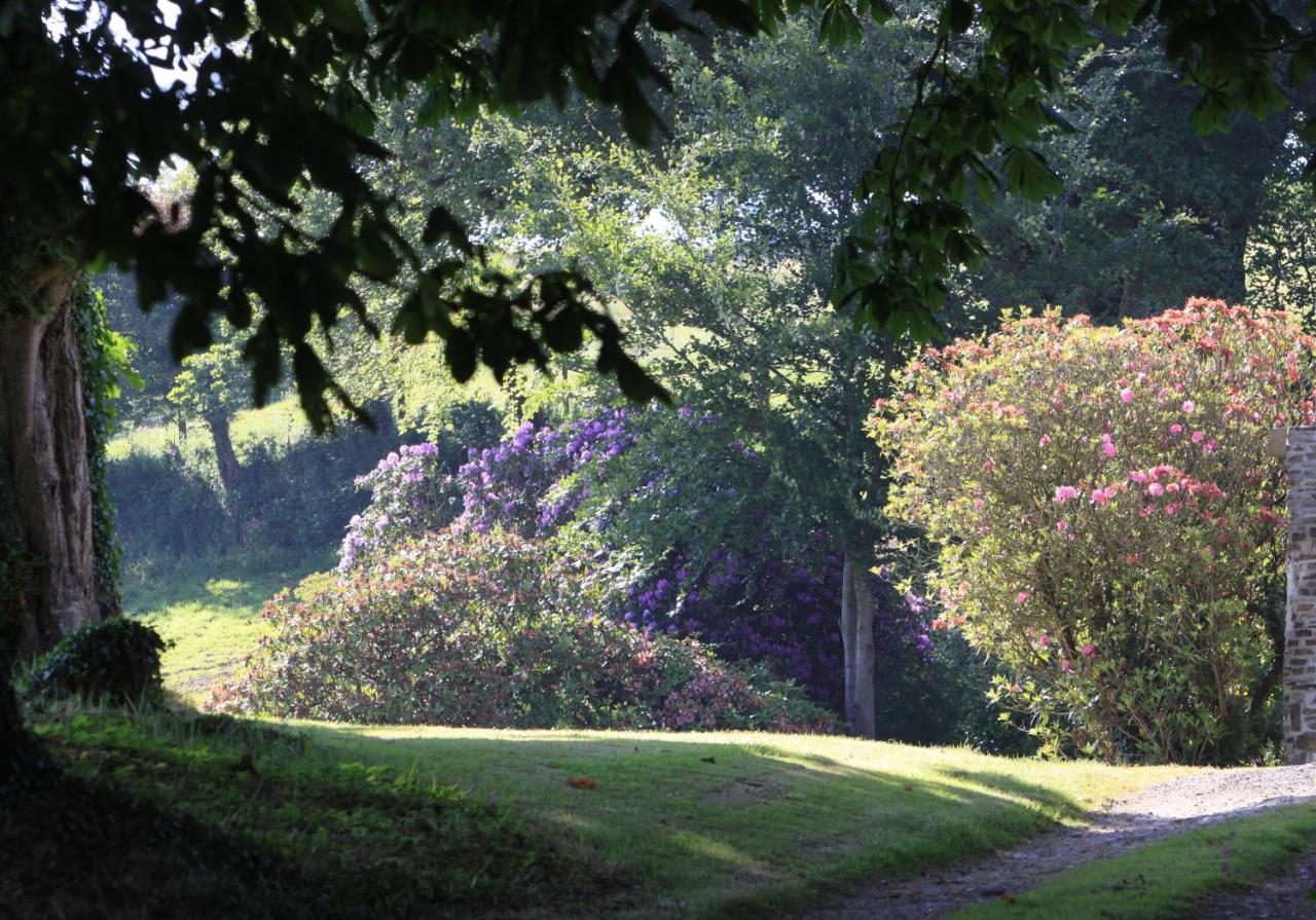 Devon Country Paradise ทาวิสต็อก ภายนอก รูปภาพ