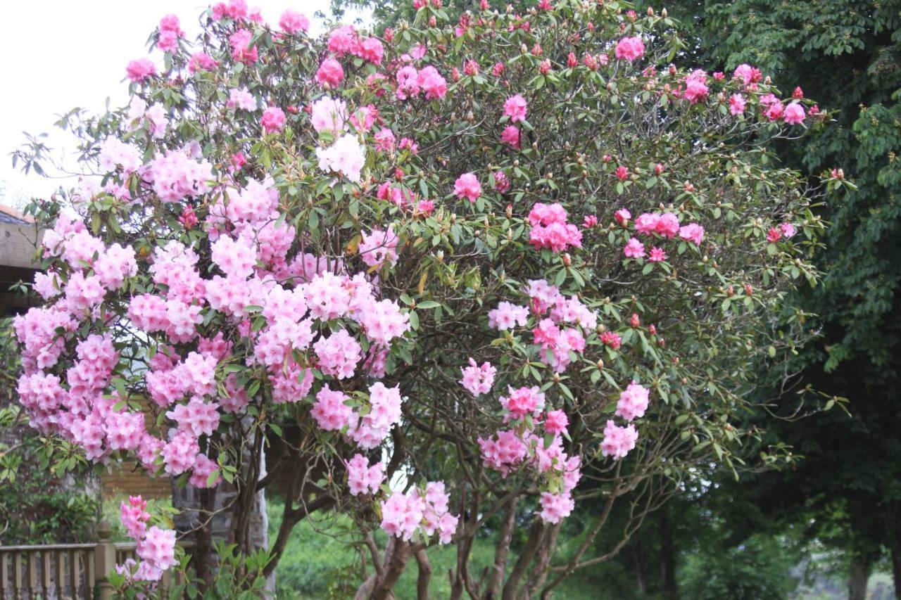 Devon Country Paradise ทาวิสต็อก ภายนอก รูปภาพ