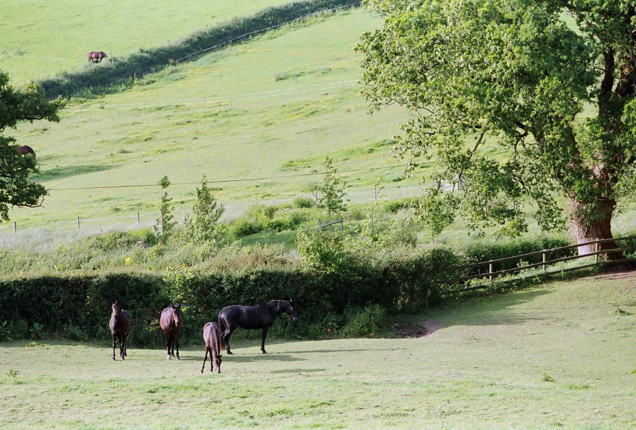 Devon Country Paradise ทาวิสต็อก ภายนอก รูปภาพ