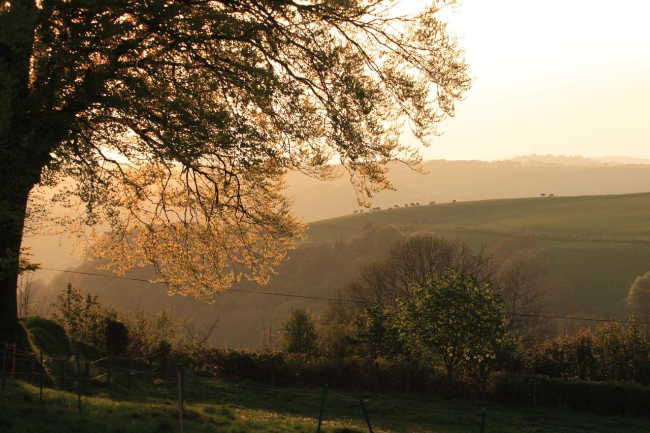Devon Country Paradise ทาวิสต็อก ภายนอก รูปภาพ