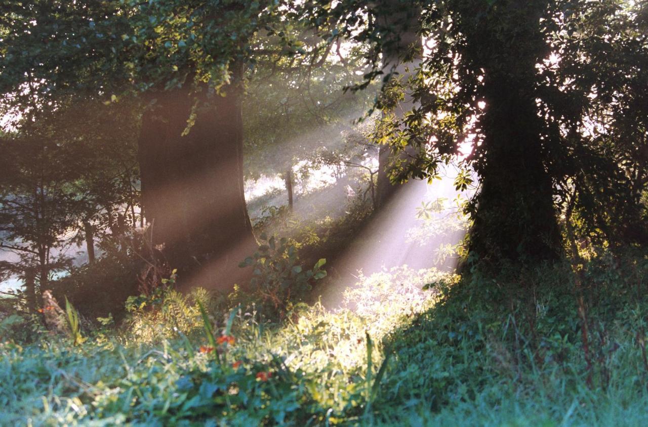 Devon Country Paradise ทาวิสต็อก ภายนอก รูปภาพ