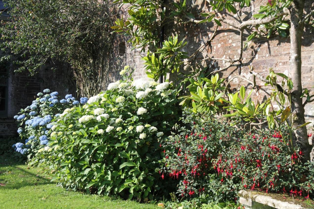 Devon Country Paradise ทาวิสต็อก ภายนอก รูปภาพ