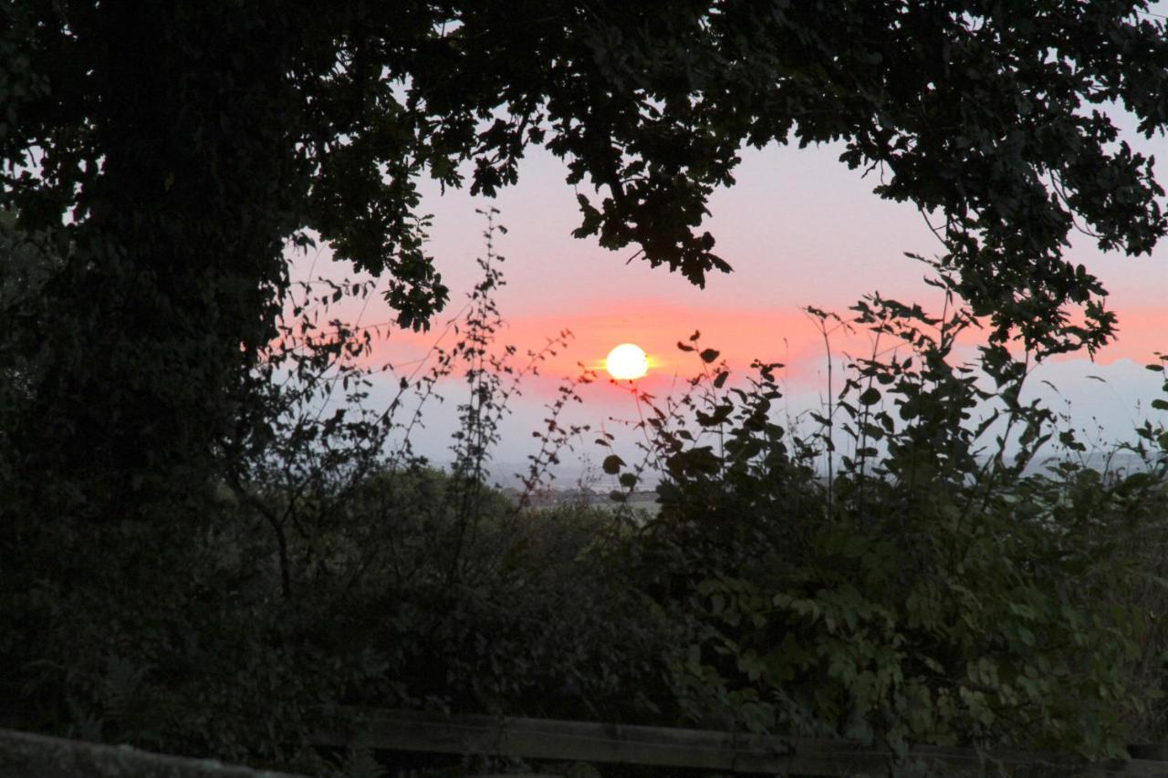 Devon Country Paradise ทาวิสต็อก ภายนอก รูปภาพ
