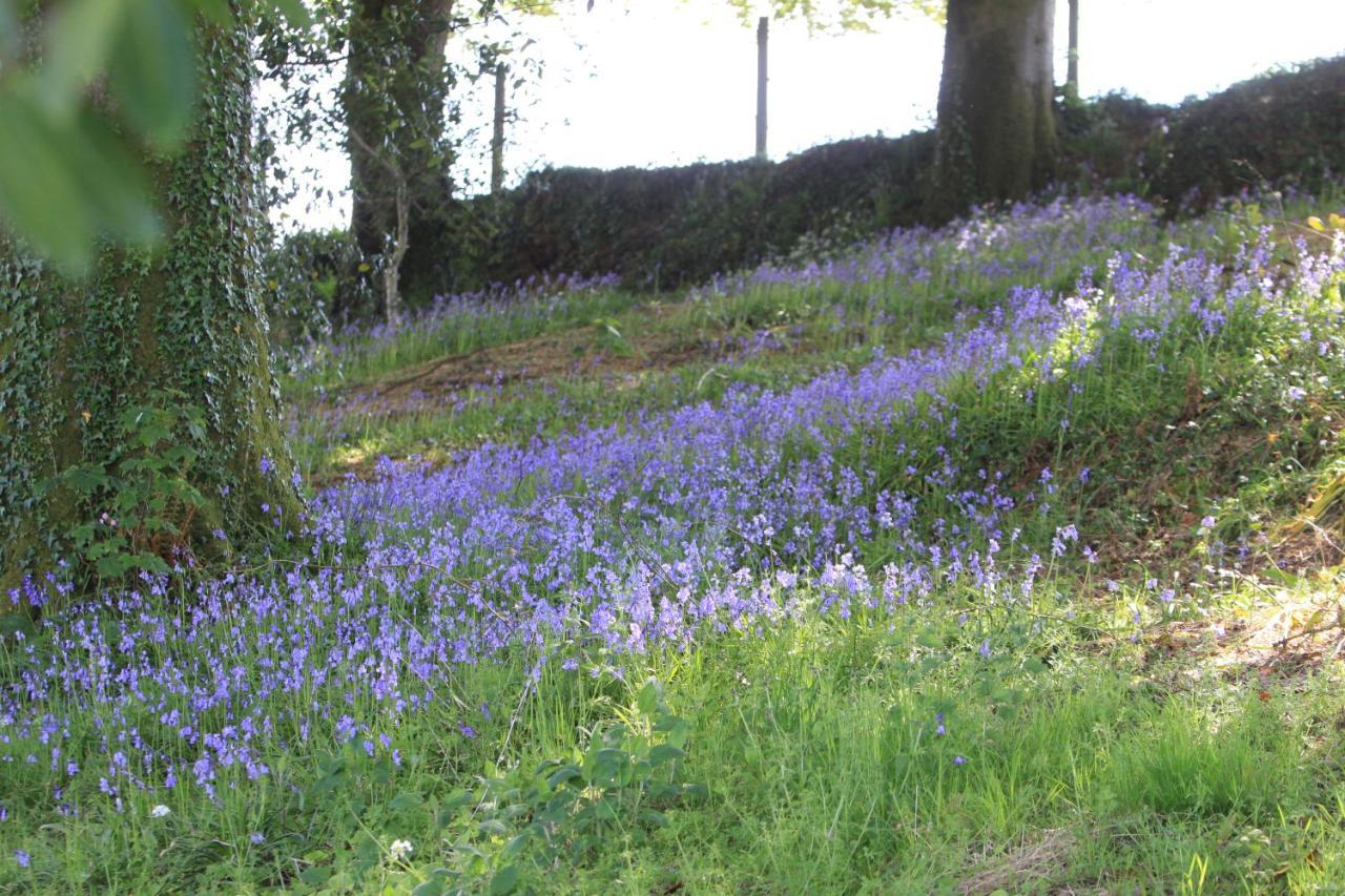 Devon Country Paradise ทาวิสต็อก ภายนอก รูปภาพ