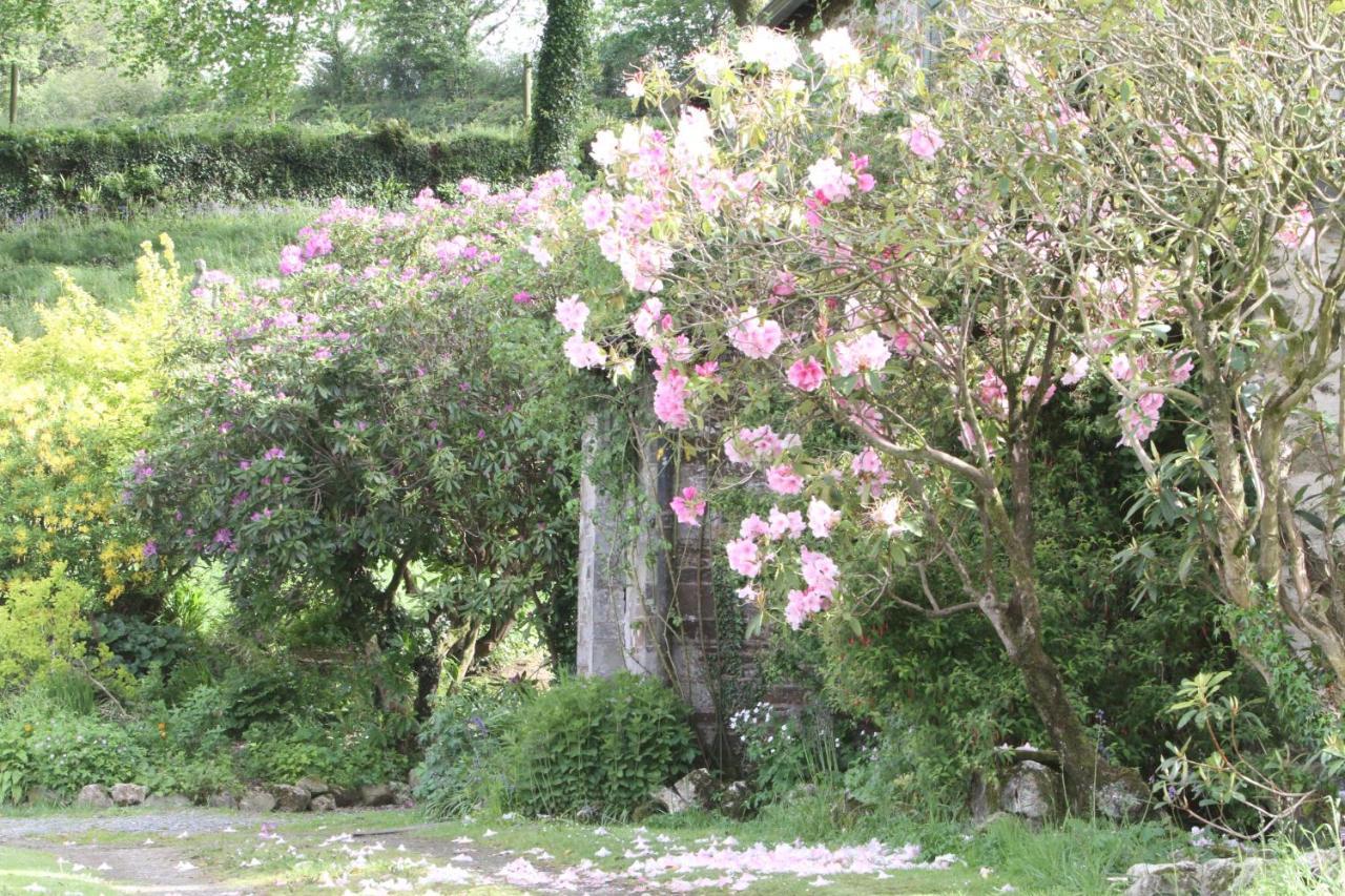 Devon Country Paradise ทาวิสต็อก ภายนอก รูปภาพ